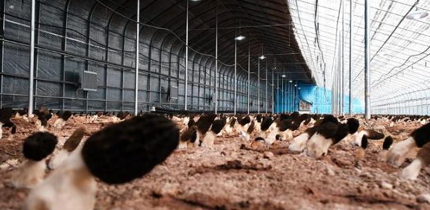 ��ī�^(q��)����(zh��n)��СС��Ǿ������l(xi��ng)�����d���¸��㡱