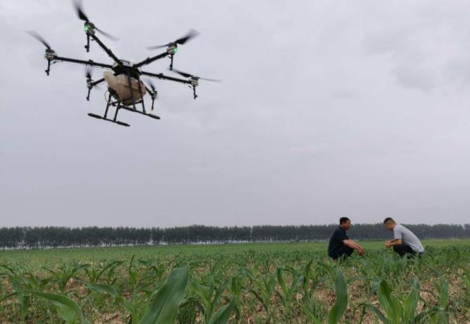 һ���ܽo800���ش�ˎ���o�˙Cֲ��������ī�r(n��ng)�I(y��)���|(zh��)��Ч